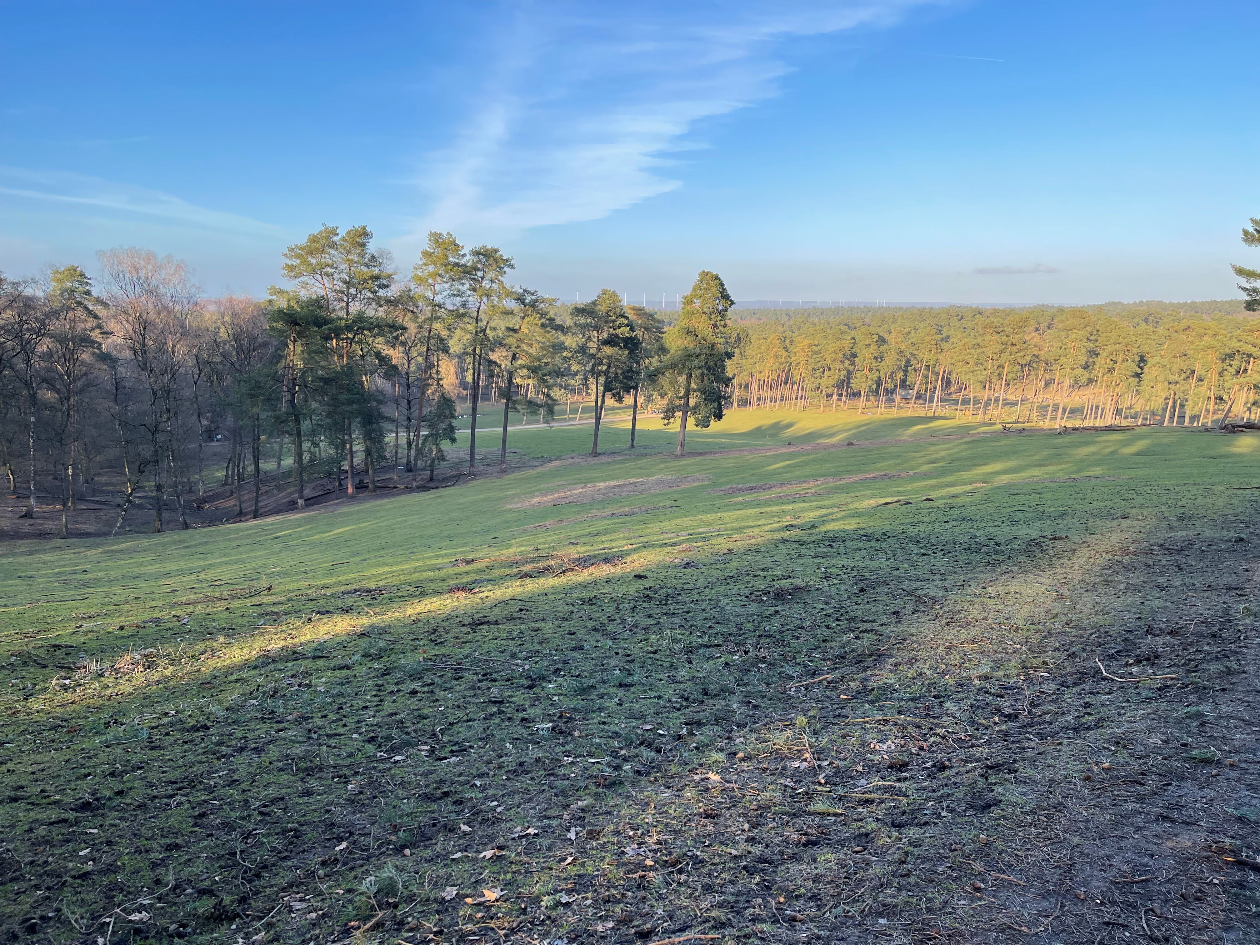 Haltern